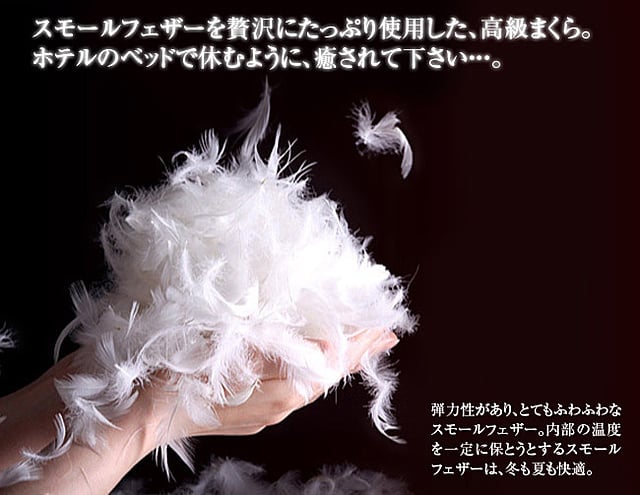中身はスモールフェザーが入っています